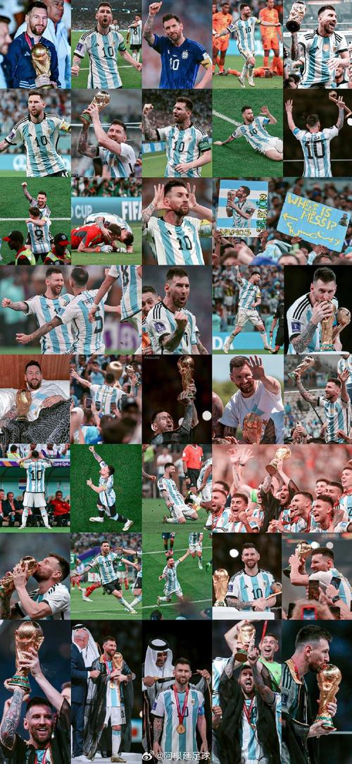 2022世界杯美洲杯