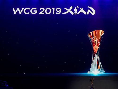 wca世界冠军奖金多少