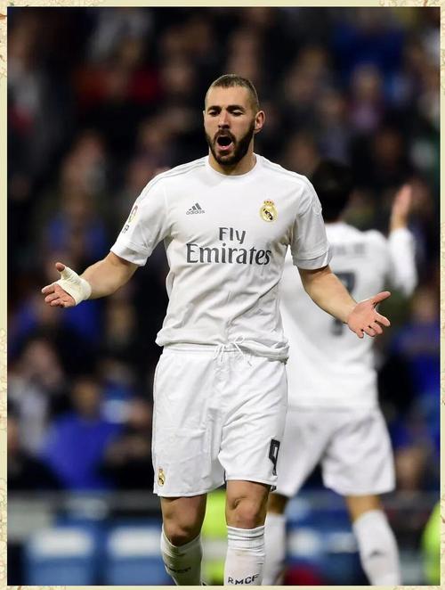 本泽马踢过世界杯吗