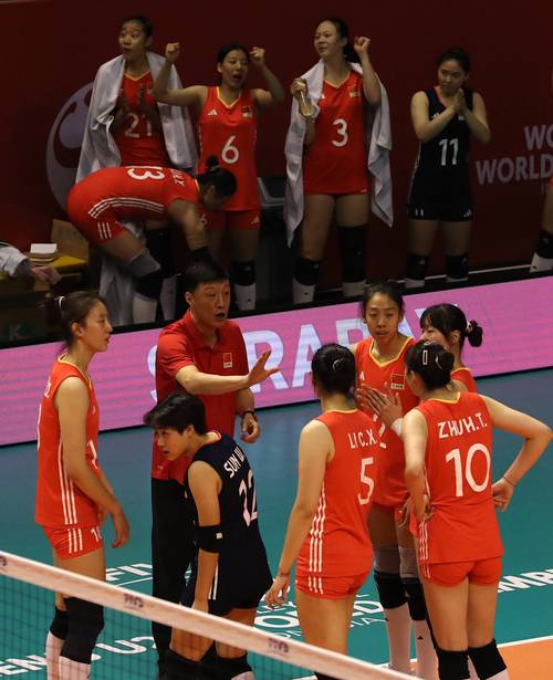 2003年女排世界杯在哪里举行