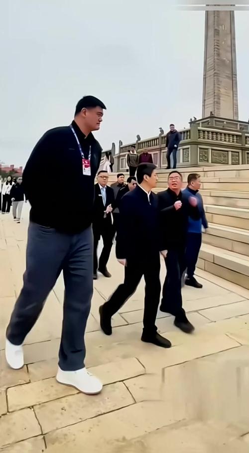 姚明的身高到底有多高