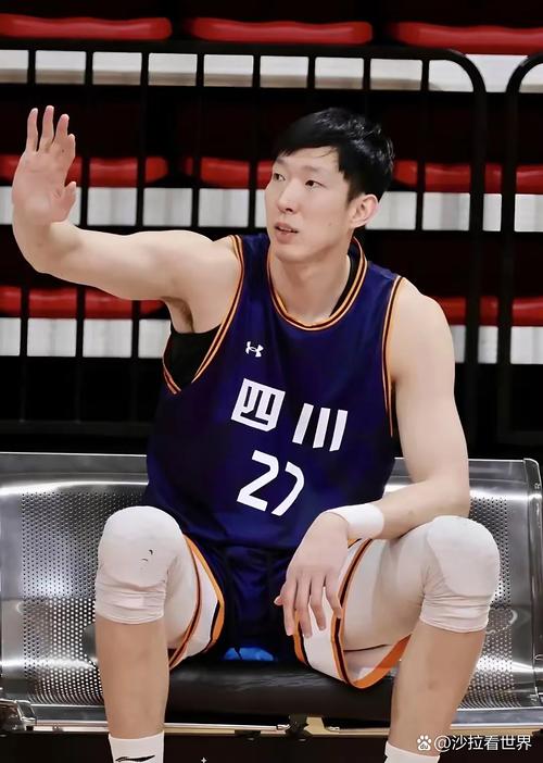 周琦有总冠军吗