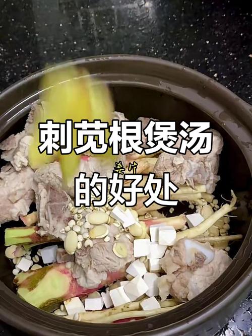 马刺根可以泡水喝吗