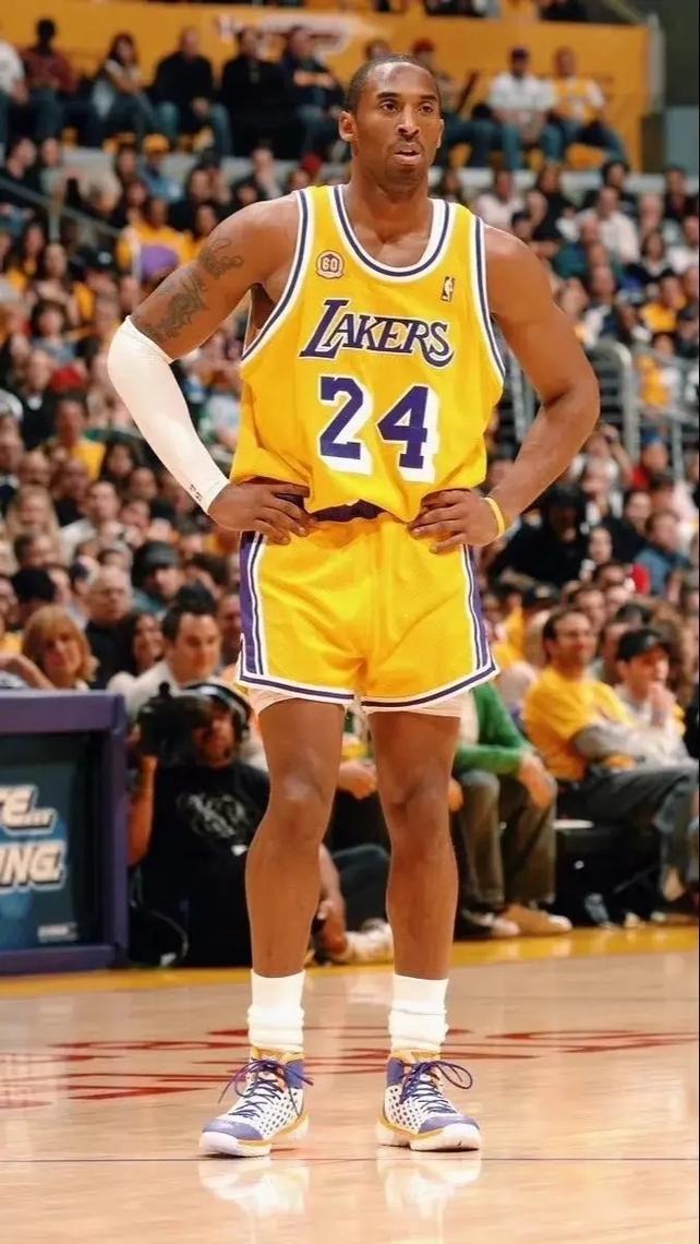 为什么用黑曼巴形容科比