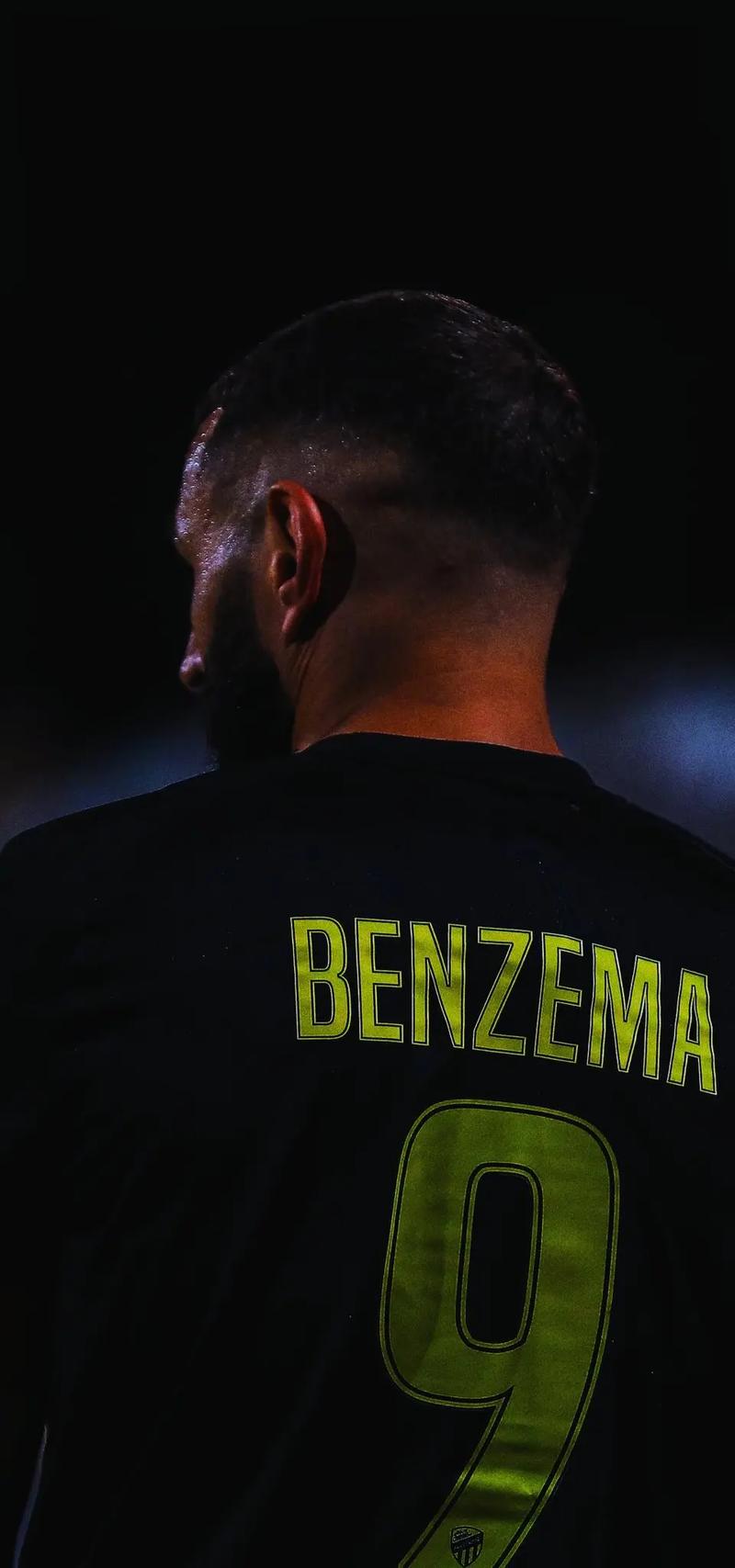 本泽马没进世界杯