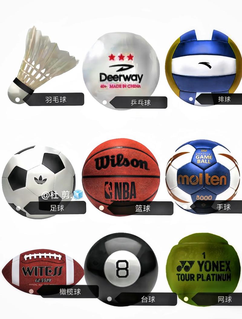 体育运动是哪些