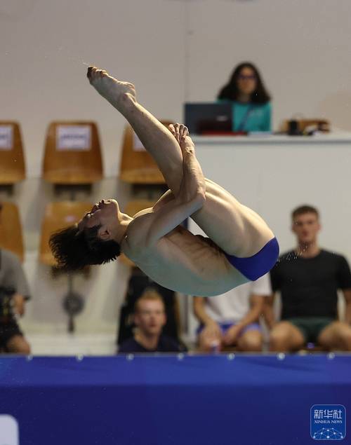 讲一下跳水运动员