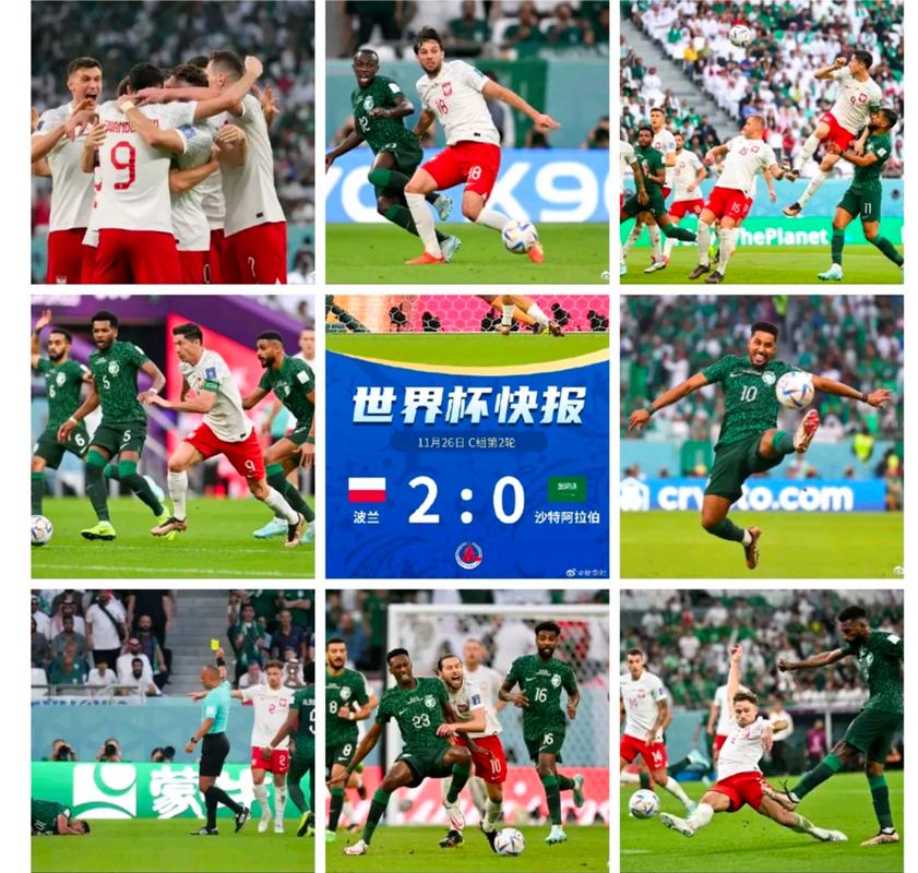 波兰世界杯预选赛阵容