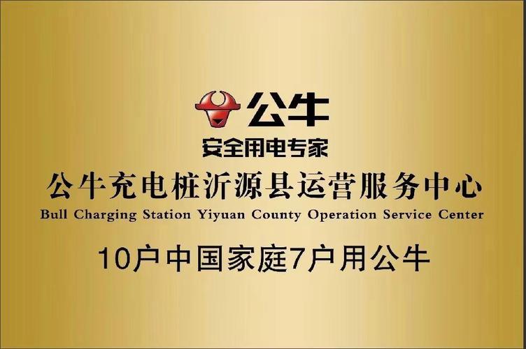 公牛是国内品牌吗