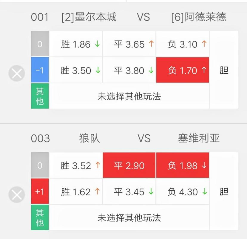 墨尔本城对阿德莱德比赛结果