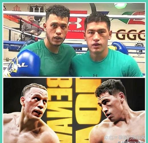 拳王比沃尔个人资料