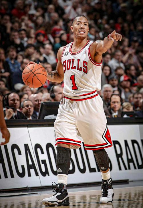 公牛队史最佳15人