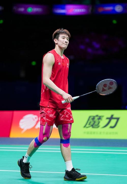 2016羽毛球奥运会男单