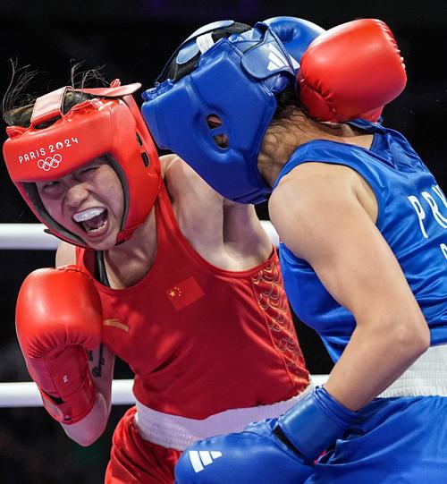 职业拳击和奥运会