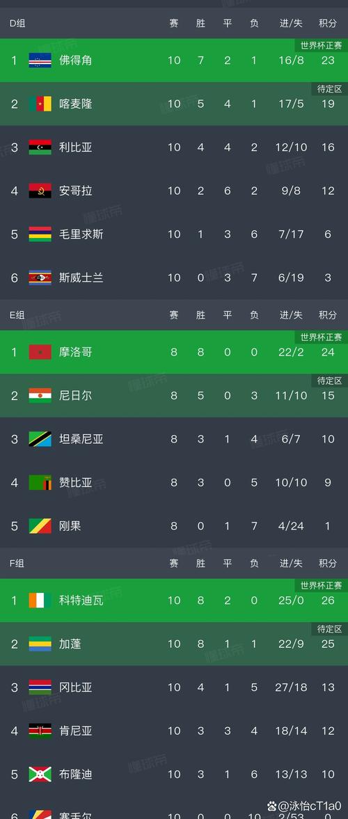 2010世界杯南非队成绩