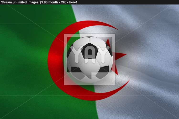 wave your flag世界杯