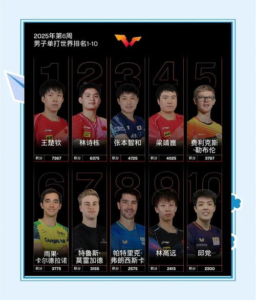 男子乒乓球选手排名