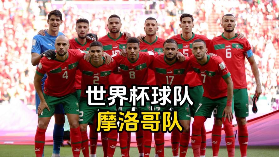 摩洛哥世界杯阵容
