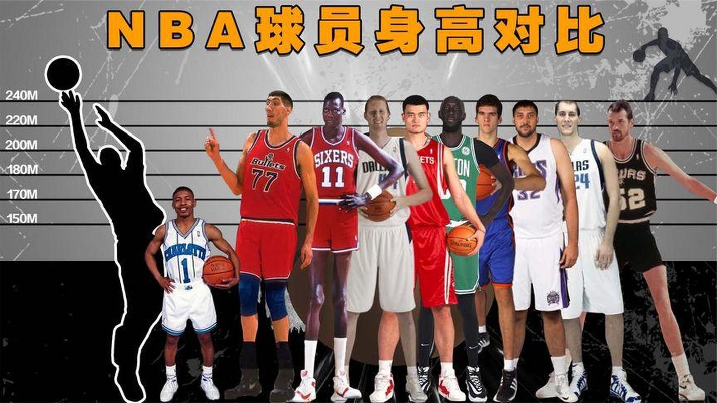 nba 球员身高
