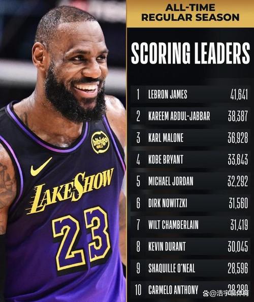 詹姆斯进了多少球