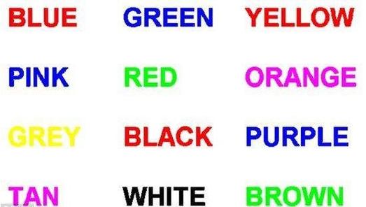 斯鲁特中文什么意思