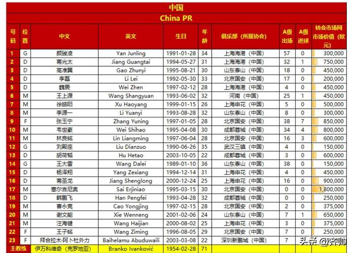 中国进世界杯是哪一年球员名单