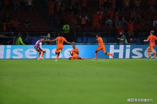 欧洲杯怎么买球队输赢