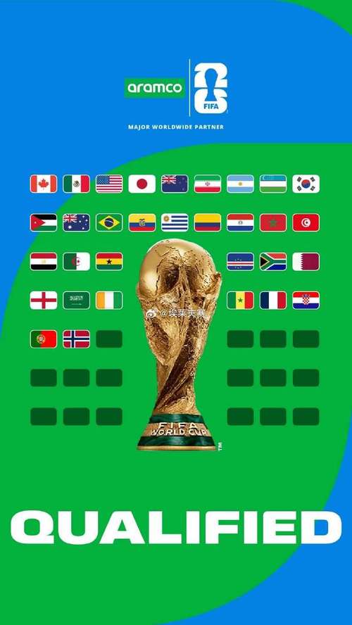 今年世界杯在哪个国家举行的