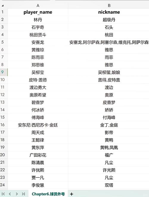 男子羽毛球队员名字大全