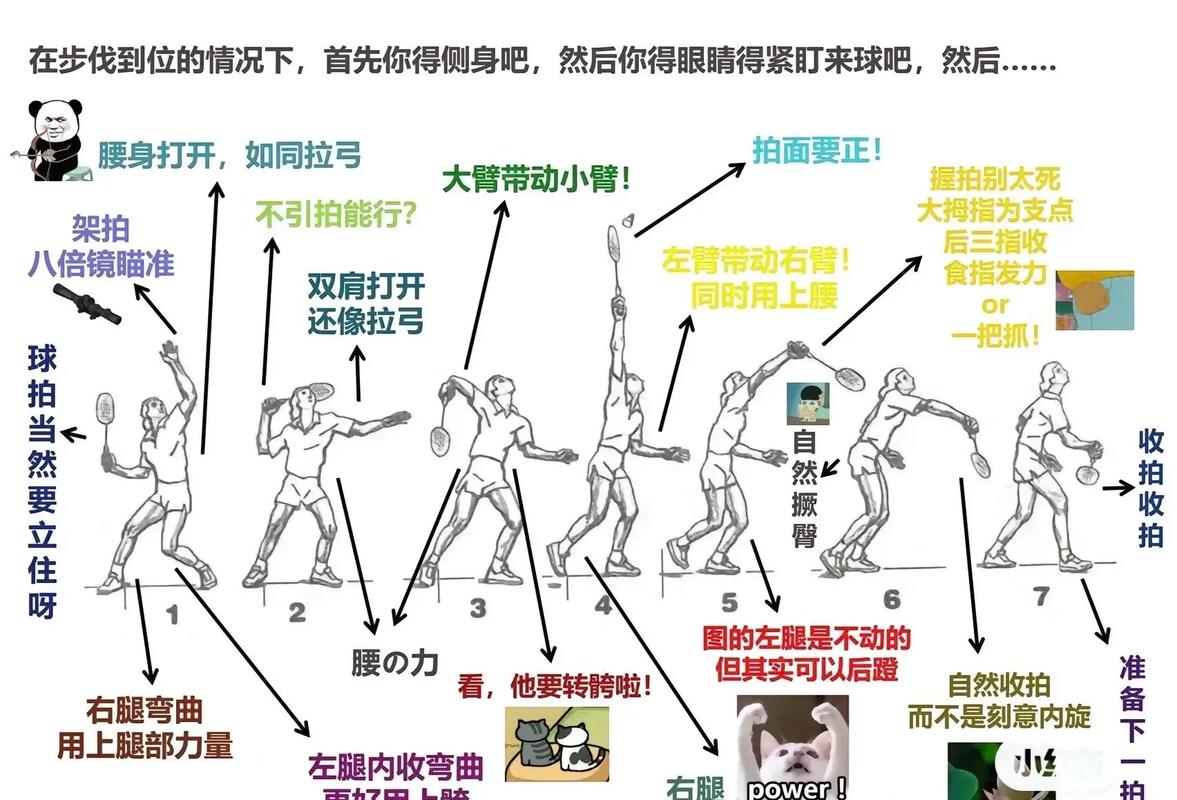 羽毛球技术动作站位术语
