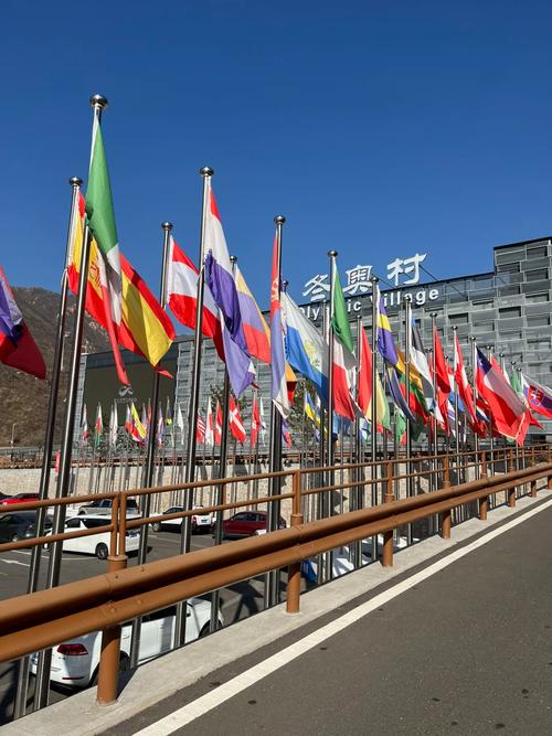 北京冬奥会在张家口什么地方