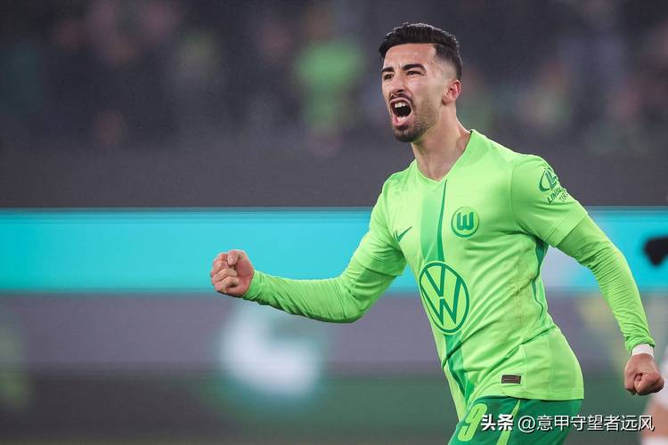 沃尔夫斯堡属于德甲哪个系? 去回答