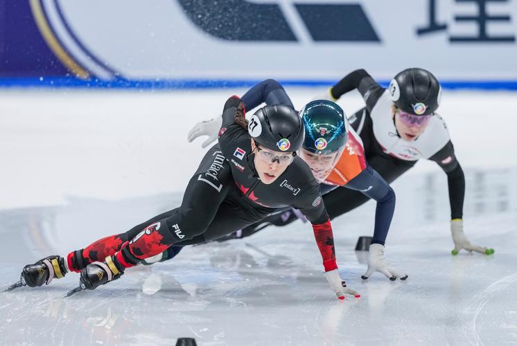 全球体育类赛事