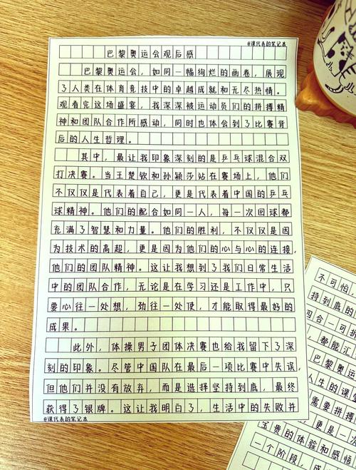 2016年里约奥运会女排决赛观后感