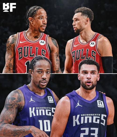 2013年国王队阵容