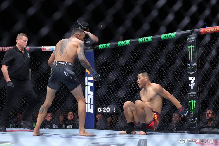 李景亮一脚踹断德国拳王肋骨