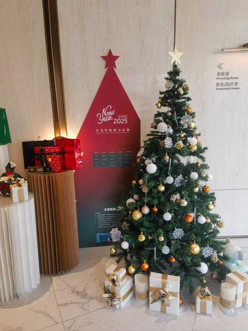 初学者买哪种乒乓球拍好