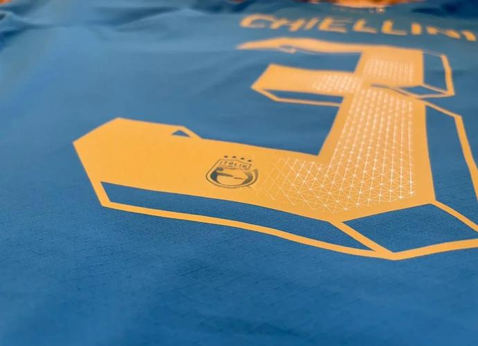 6号传奇:意大利国家队球衣背后的英雄