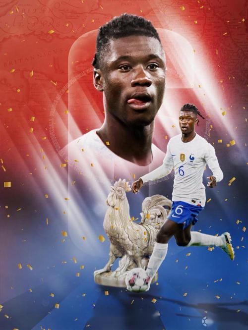 2006年法国世界杯:那支高卢雄鸡的荣耀之战