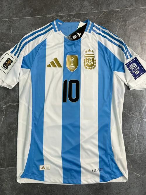 2010世界杯，梅西领衔的阿根廷雄狮：那场激情燃烧的岁月