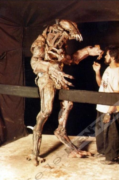 非洲大象科特迪瓦：足球场上的铁血战士